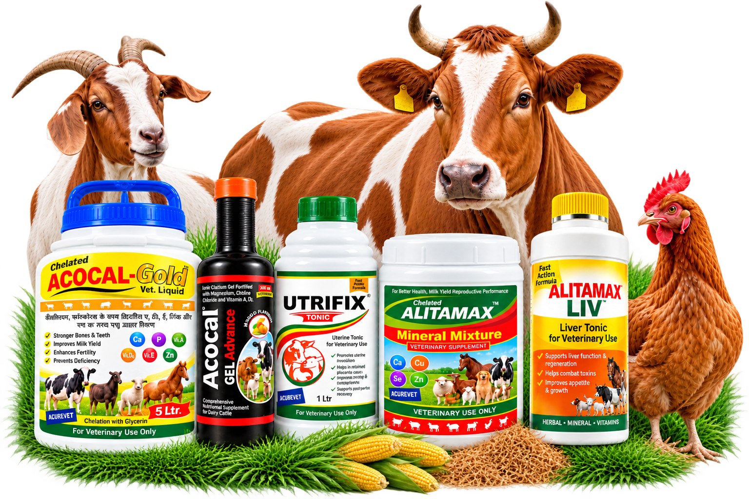 Acurevet veterinary products and cattle